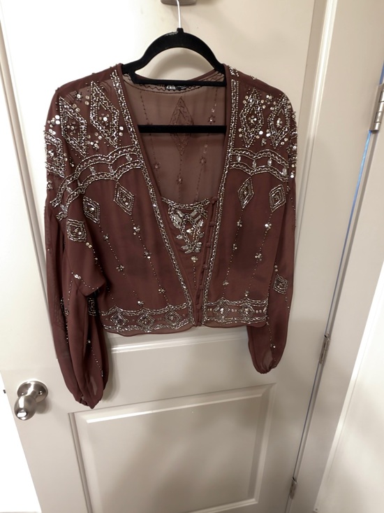 Zara Tops - Zara Brown Beaded Sheer Embellished Blouse